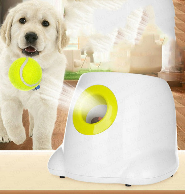 Automatic Interactive Dog Ball Launcher Toy Lauxi Paws ฅ՞•ﻌ•՞ฅ