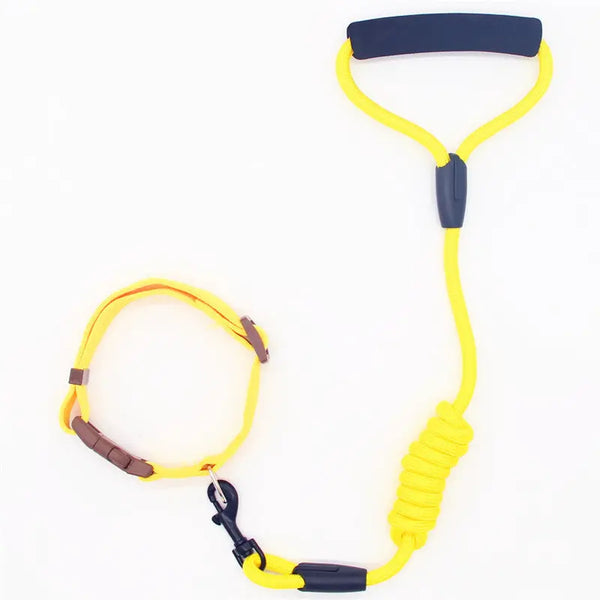 Adjustable Pet Leash and Collar for Dogs Lauxi Paws ฅ՞•ﻌ•՞ฅ